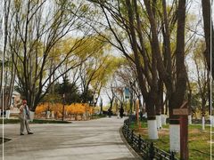 -大兴滨河森林公园