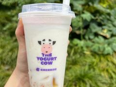 -一只酸奶牛(八一路店)