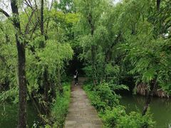 -西溪国家湿地公园