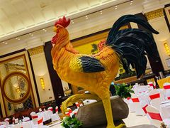 -清远恒大酒店·寻味清远