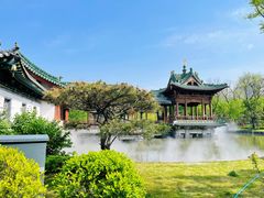 -迎泽公园