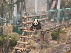 -大连森林动物园