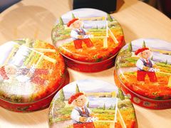 -珍妮曲奇聪明小熊(尖沙咀店)