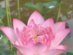 -朝阳公园
