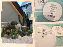 -大树餐厅(红旗街万达店)