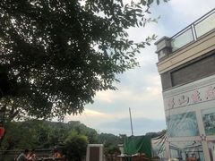 -老幺泉水鸡
