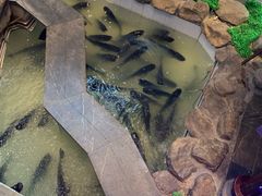 -春盛渔府(牛首山店)