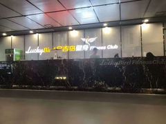 -金吉鸟健身游泳