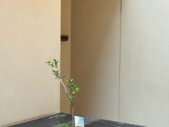 -元古本店(南锣鼓巷店)