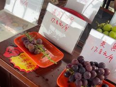 -马陆小张葡萄园农家乐