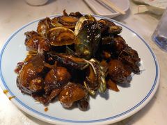 酱焖小鲍鱼-日丰园海肠水饺·老字号大连海鲜(和平广场店)