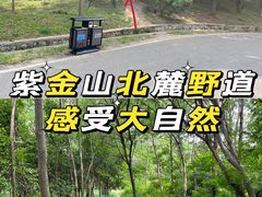 -紫金山山顶公园