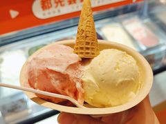 -极拉图·现制冰淇淋(大卫城店)