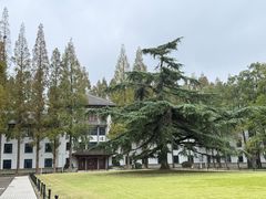 -同济大学(地铁站)