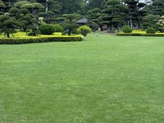 -南宁南湖公园
