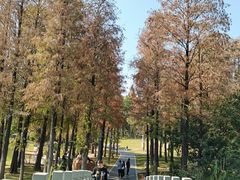 -四海公园(南山区)
