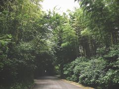 -法云安缦酒店