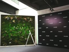 -精绝七日-新疆尼雅遗址数字大展【拉法耶文化艺术中心】