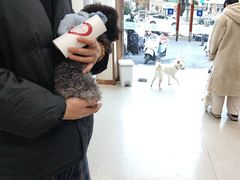 -宠颐生宠物医院·心肾内科·猫专科诊疗中心宠巢店