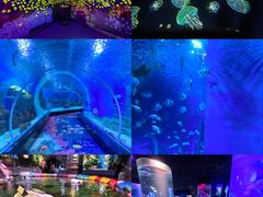 -顺德南宏海立方海洋公园