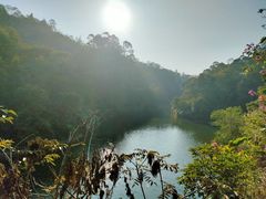-红花湖景区