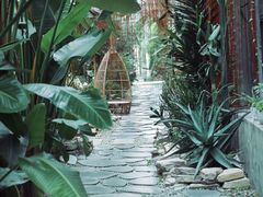 -桉树林A coffee 森林餐厅(三圣乡店)