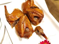 脆皮乳鸽-京粤荟(海王银河科技大厦店)