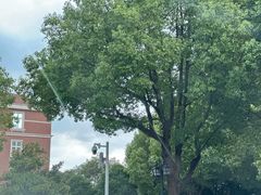 -上海交通大学(闵行校区)