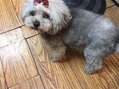 -志龙皇冠吃货椰子铺