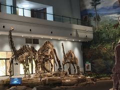 -自贡恐龙博物馆