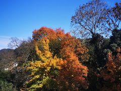 -随意茶庄·地道杭帮农家菜(梅家坞店)