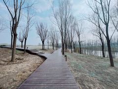 -东郊湿地公园