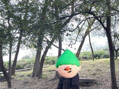 -南京市江宁方山