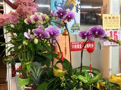 -垦丁辉哥生鱼片
