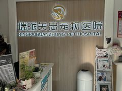 -瑞派·关忠动物医院·猫专科·犬专科(三环新城店)