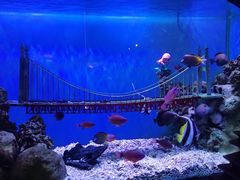 -太平洋海底世界