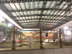 -南宫温泉水世界