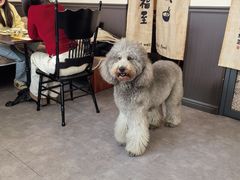 -沏点Trattoria意大利餐厅(新街口店)