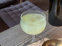 -毛辣果·酸