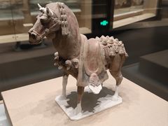 -太原市博物馆