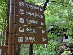 -龙岩森林水乡景区