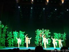 -国学剧院(功夫诗·九卷)