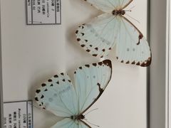 -山东博物馆