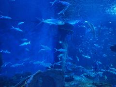 -多彩贵州城极地海洋世界