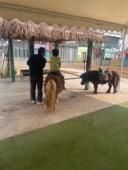 -萌宠亲子动物乐园(槐房万达店)