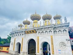 -上海东林寺(金山区)