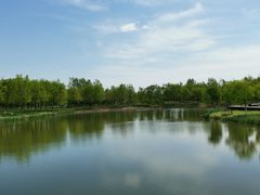 -东郊湿地公园