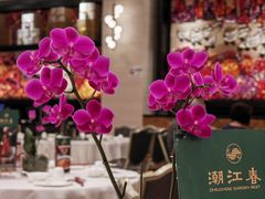 -潮江春(阳光店)