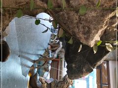 -御膳粥·牛乳粥底火锅·地道顺德菜(容桂店)