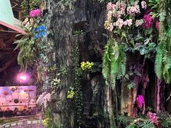 -正佳雨林生态植物园